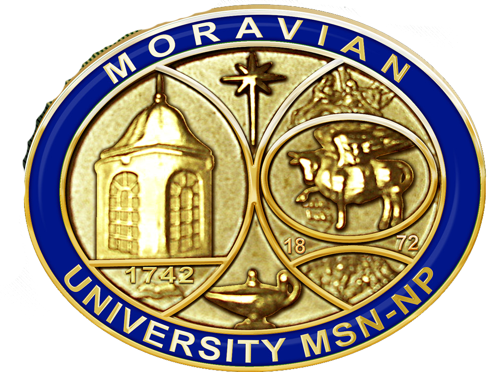 Moravian University MSN NP Pin