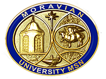 Moravian University MSN Pin