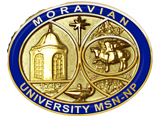 Moravian University MSN NP Pin